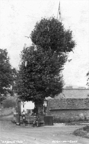 Arbor tree1920s